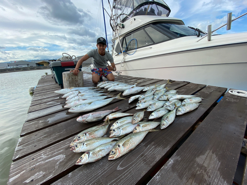 メジロの釣果