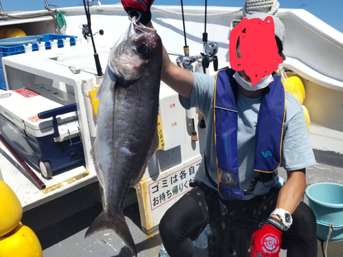 メダイの釣果