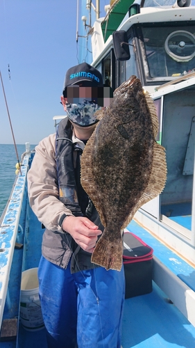 ヒラメの釣果