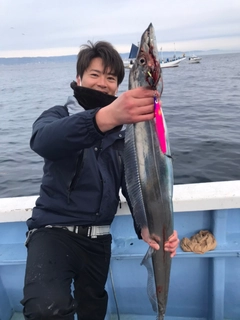 タチウオの釣果