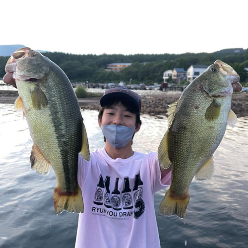 ブラックバスの釣果