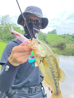 ブラックバスの釣果