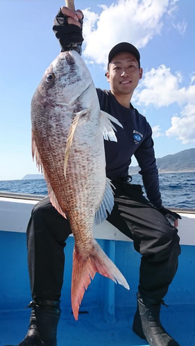 タイの釣果