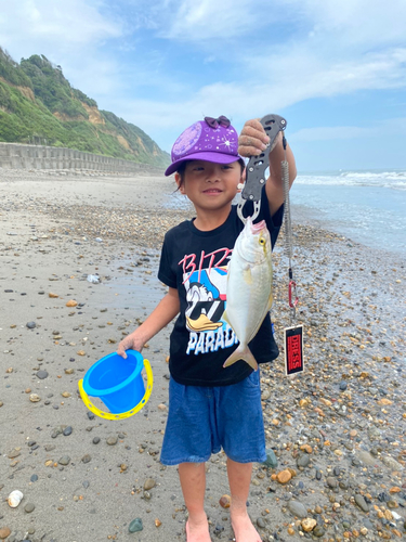 ショゴの釣果