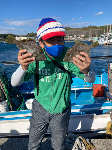 カワハギの釣果