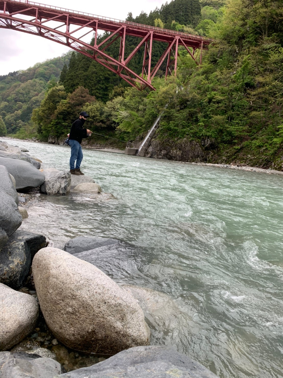 イワナ