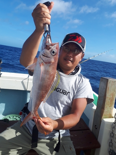 シロダイの釣果