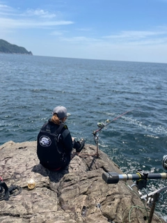 イシガキダイの釣果