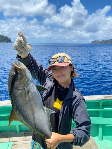 カンパチの釣果