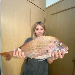 タイの釣果