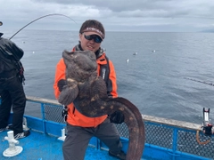 オオカミウオの釣果