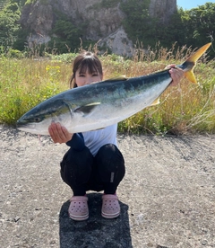 ブリの釣果