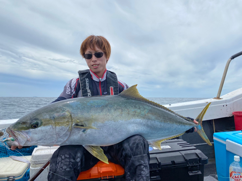 ヒラマサの釣果