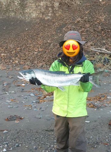 アキアジの釣果