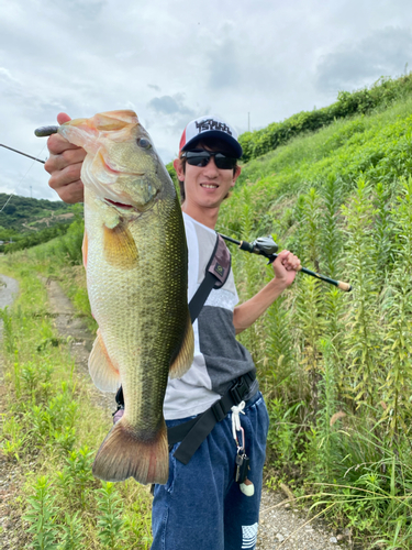 ブラックバスの釣果