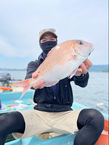 タイの釣果