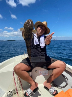 マゴチの釣果
