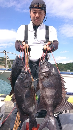 イシダイの釣果