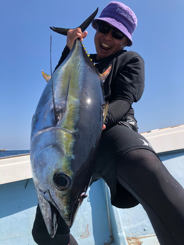 キハダマグロの釣果