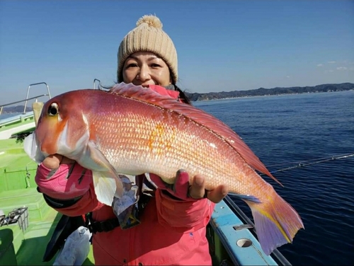 アマダイの釣果