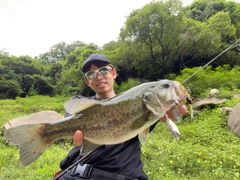 ブラックバスの釣果