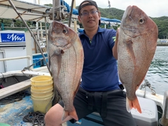 マダイの釣果