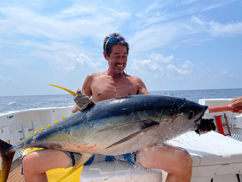 キハダマグロの釣果