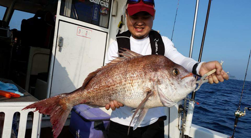 タイの釣果