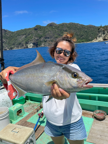 ヒレナガカンパチの釣果