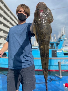 マゴチの釣果