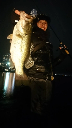 ブラックバスの釣果