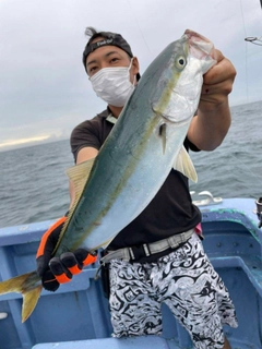 イナダの釣果