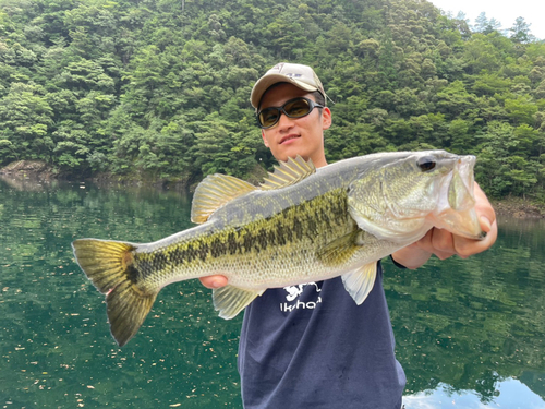 ブラックバスの釣果