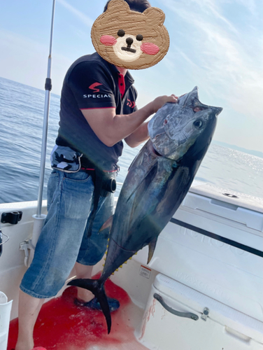 クロマグロの釣果