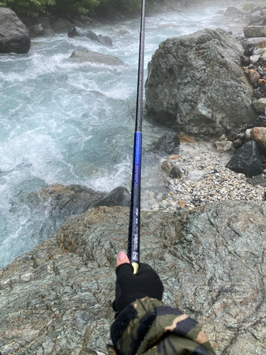 イワナの釣果