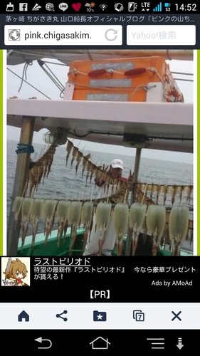 スルメイカの釣果