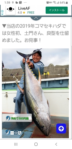 キハダマグロの釣果