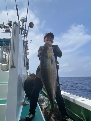 カンパチの釣果