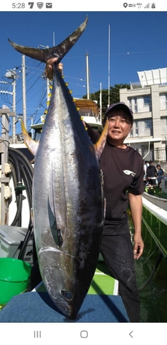 キハダマグロの釣果