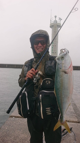 ツバスの釣果