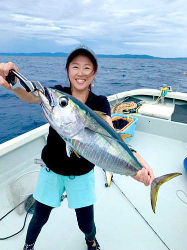 キハダマグロの釣果