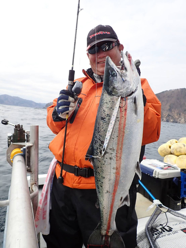 サクラマスの釣果