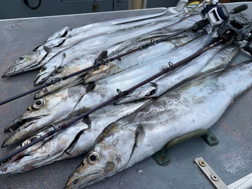 タチウオの釣果