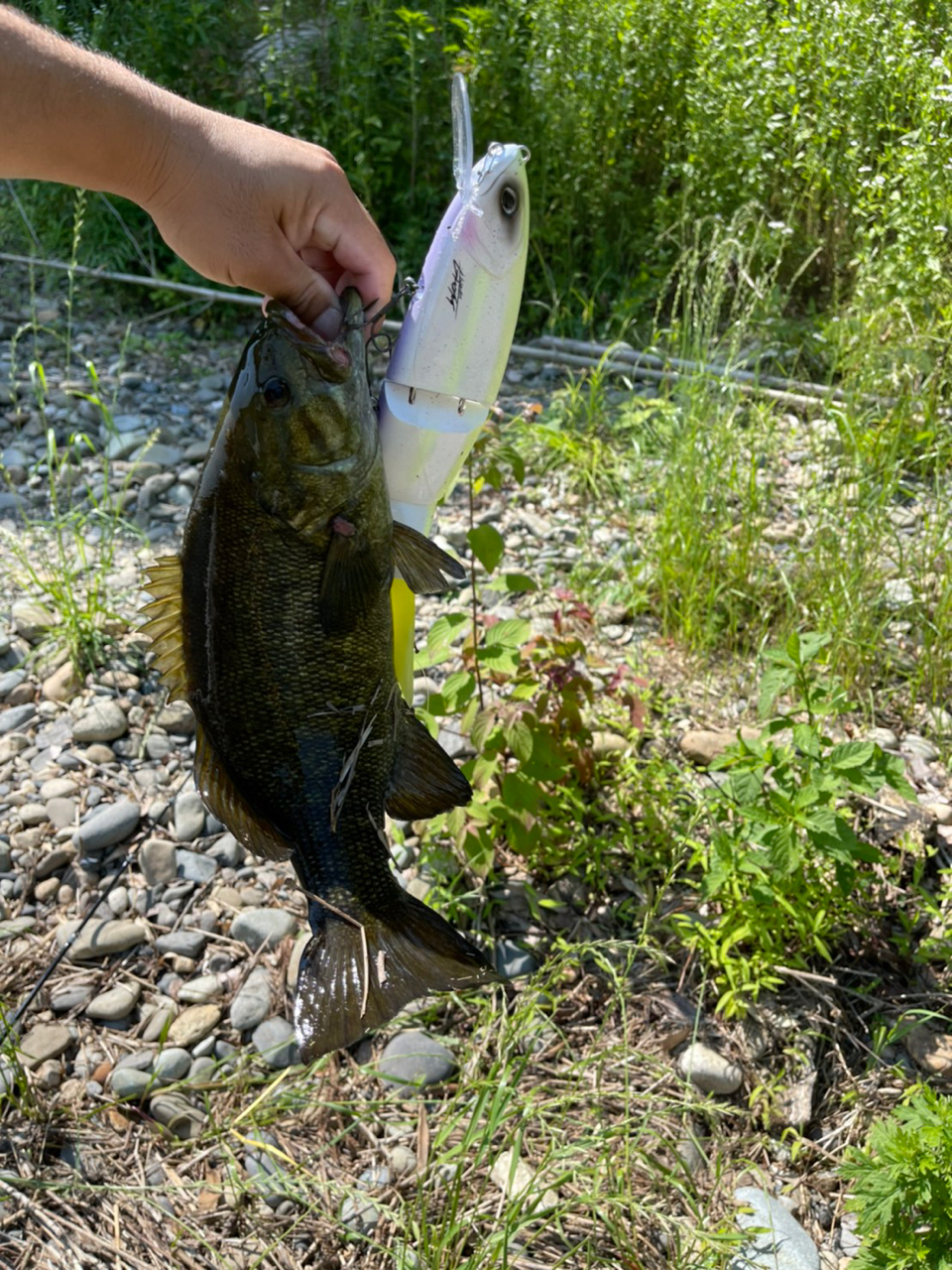 スモールマウスバス