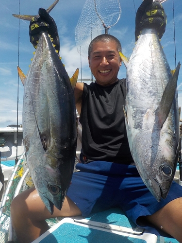 カンパチの釣果