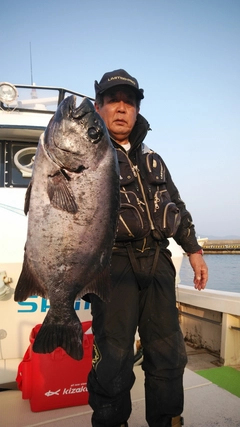 イシダイの釣果