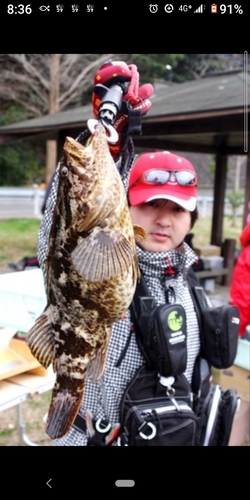 ベッコウゾイの釣果