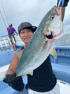 イナダの釣果