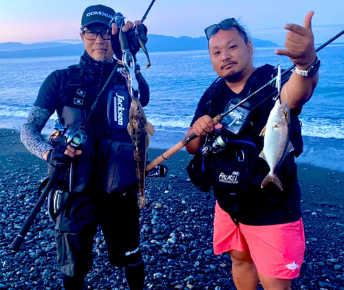 ショゴの釣果