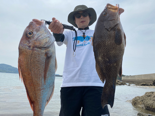 オオモンハタの釣果